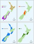 Kiwi Recovery Plan 2018-2028 Mahere Whakaora Kiwi 2018-2028 - Department of Conservation