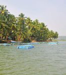 Fisheries and Aquaculture - Talking Rural India Forward - Nabard