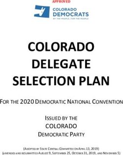 COLORADO DELEGATE SELECTION PLAN - The Colorado Democratic ...