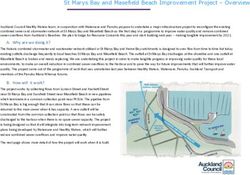 St Marys Bay and Masefield Beach Improvement Project - Overview