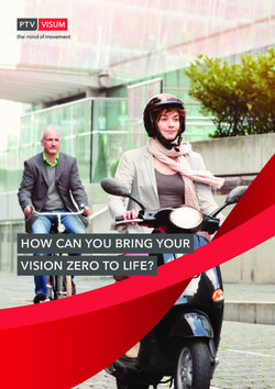 HOW CAN YOU BRING YOUR VISION ZERO TO LIFE?