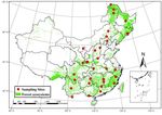 Leaf &delta;15N, &delta;13C and Their Associations with Soil Fungal Biodiversity, Ectomycorrhizal and Plant Pathogenic Abundance in Forest Ecosystems of China
