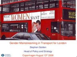 Gender Mainstreaming in Transport for London - Stephen Golden Head of Policy and Strategy Copenhagen August 13th 2008