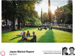 JAPAN MARKET REPORT SHIGEYOSHINOTOAND KOICHINUMATA - VISIT FINLAND MARKETING REPRESENTATIVES