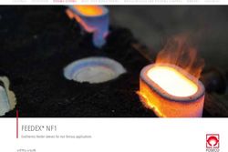 FEEDEX* NF1 Exothermic feeder sleeves for non ferrous applications - Gifa