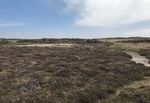 Land at Rhoscolyn, Rhoscolyn, Holyhead - An attractive block of agricultural land - Strutt & Parker
