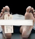 Nice Appearance. Dark shadows - Fakes endanger health and jobs. S A Y