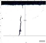 Investigating the influence of temperature on the selection of criteria for evaluating the propensity of tube steels to corrosion cracking at low ...