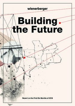 Building the Future - Report on the First Six Months of 2018 - Wienerberger