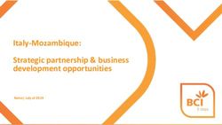 Italy-Mozambique: Strategic partnership & business development opportunities - Rome| July of 2019