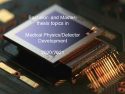 Bachelor- and Master-thesis topics in Medical Physics/Detector Development 2020/2021 - ECAP