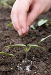 Investing for growth, investing for good
