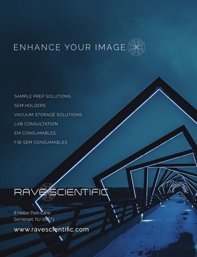 Join Us in Australia for the 19th International Microscopy Congress