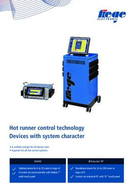Hot runner control technology Devices with system character