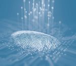 Data Protection, Immigration Enforcement and Fundamental Rights: What the EU's Regulations on Interoperability Mean for People with Irregular Status