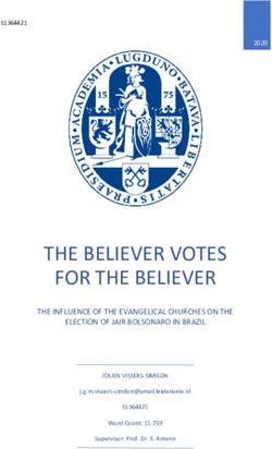 THE BELIEVER VOTES FOR THE BELIEVER - THE INFLUENCE OF THE EVANGELICAL CHURCHES ON THE ELECTION OF JAIR BOLSONARO IN BRAZIL