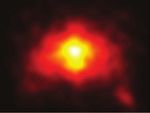 Free viewing of dynamic stimuli by humans and monkeys