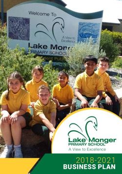 2018-2021 BUSINESS PLAN - A View to Excellence - Lake Monger Primary School