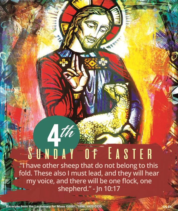 SUNDAY MASS SCHEDULE St. Thomas the Apostle Catholic