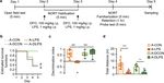 The role of neutrophil gelatinase associated lipocalin and iron homeostasis in object recognition impairment in aged sepsis survivor rats
