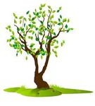 Helpful Information for Filing 2017 Income Taxes and Proactive Tax Planning for 2018