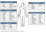 The Next Generation of Medicine: Artificial Intelligence and Machine Learning TM Capital Industry Spotlight - www.tmcapital.com/healthcare