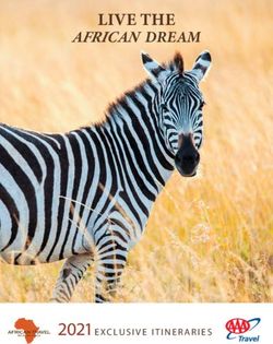 LIVE THE AFRICAN DREAM - 2021EXCLUSIVE ITINERARIES - AAA
