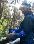 Corporate Presentation - TSX-V: JG OTCQB: JGLDF Beaver Creek Precious Metals Summit September 08, 2021 - Japan Gold