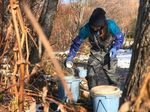 Corporate Presentation - TSX-V: JG OTCQB: JGLDF Beaver Creek Precious Metals Summit September 08, 2021 - Japan Gold