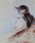 Painting Penguins - Not As Black And White As It Seems - On World Penguin Day, Annie Broadley explores how a trip to Antarctica proved a painting ...