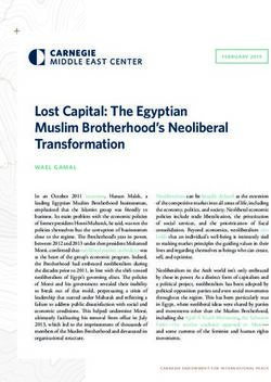 Lost Capital: The Egyptian Muslim Brotherhood's Neoliberal Transformation