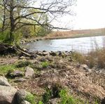 SEWAGE FROM SINGLE HOUSES- A SUSTAINABLE SOLUTION