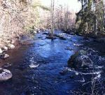 SEWAGE FROM SINGLE HOUSES- A SUSTAINABLE SOLUTION