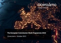 The European Commission Work Programme 2022 - Cicero/amo | October 2021 - Cicero ...