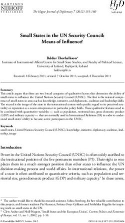 Small States in the UN Security Council: Means of Influence?