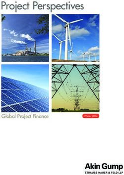 Project Perspectives - Global Project Finance - Akin Gump Strauss Hauer & Feld LLP