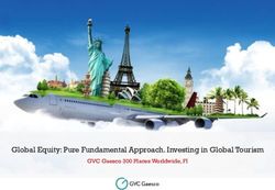 Global Equity: Pure Fundamental Approach. Investing in Global Tourism - GVC Gaesco 300 Places Worldwide, FI - GVC Gaesco Gestión