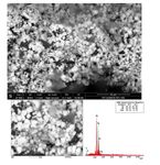 Antimicrobial Activities of Coriander Seed Essential Oil and Silver Nanoparticles