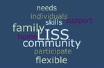 RECOMMENDATIONS FOR IMPROVEMENT - Maximizing the Impact of DDA's Low Intensity Support Services Program: A Report of the LISS Stakeholder ...