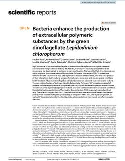Bacteria enhance the production of extracellular polymeric substances by the green dinoflagellate Lepidodinium chlorophorum
