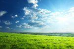 TCFD UPDATE 2021 STATUS REPORT AND METRICS, TARGETS AND TRANSITION PLANS GUIDANCE - Deloitte