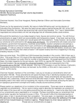 COLUMBUS DOG CONNECTION.com