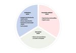 "We Need a System that's not Designed to Fail Māori": Experiences of Racism Related to Kideny Transplantation in Aotearoa New Zealand