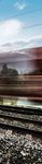 TRENDS & IMPETUS - DB Cargo AG