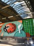 TRENDS & IMPETUS - DB Cargo AG