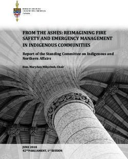 FROM THE ASHES: REIMAGINING FIRE SAFETY AND EMERGENCY MANAGEMENT IN INDIGENOUS COMMUNITIES - Report of the Standing Committee on Indigenous and ...