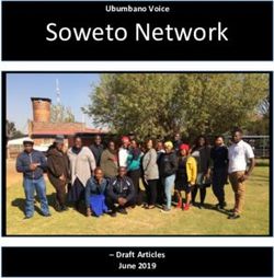 Soweto Network Ubumbano Voice-Draft Articles June 2019 - Act Ubumbano