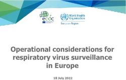 Operational considerations for respiratory virus surveillance in Europe - D-19 Surveillance Strategy