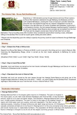 The Victoria Falls - Rovos Rail (Northbound)