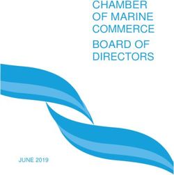 CHAMBER OF MARINE COMMERCE BOARD OF DIRECTORS - JUNE 2019 - Chamber of Marine ...